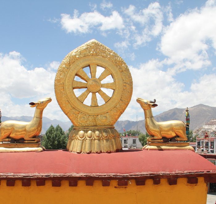 9-Day Tibet Discovery Tour