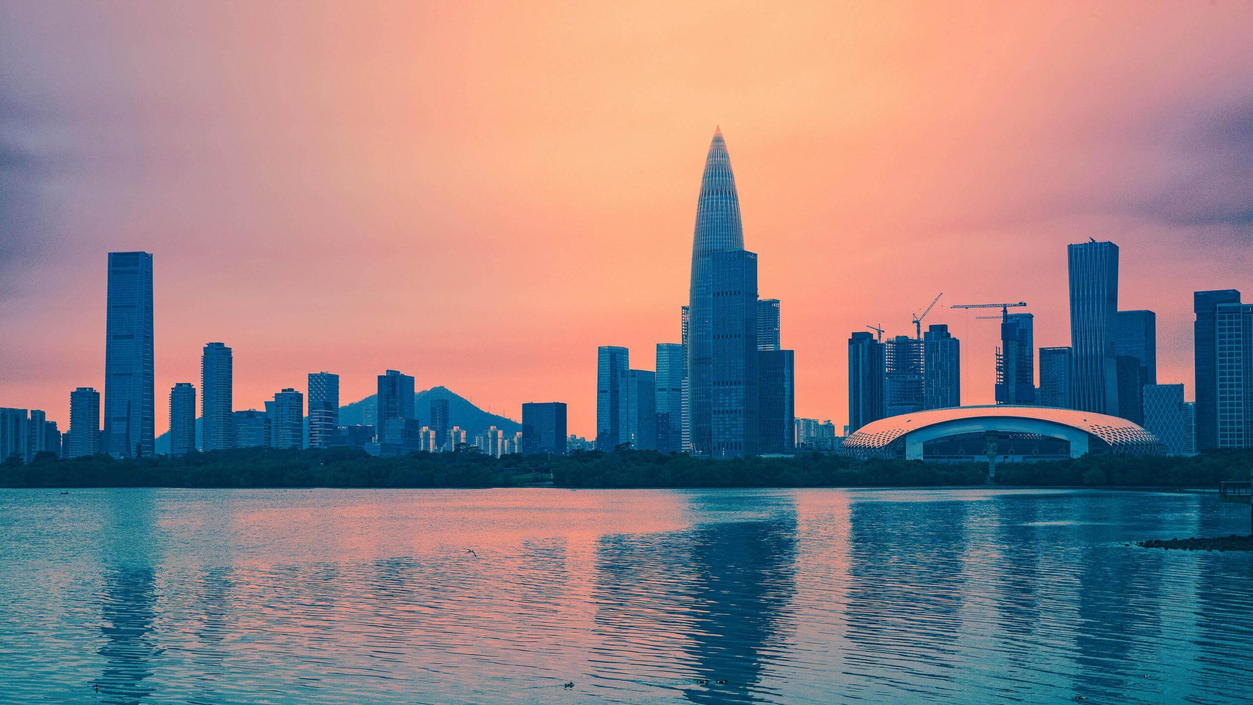 Shenzhen Skyline