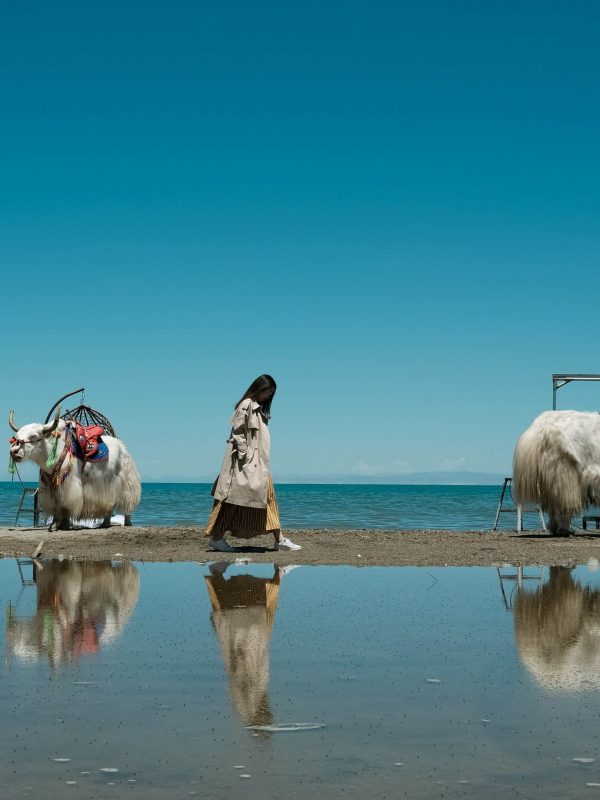 Qinghai Lake