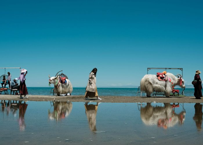 Qinghai Lake