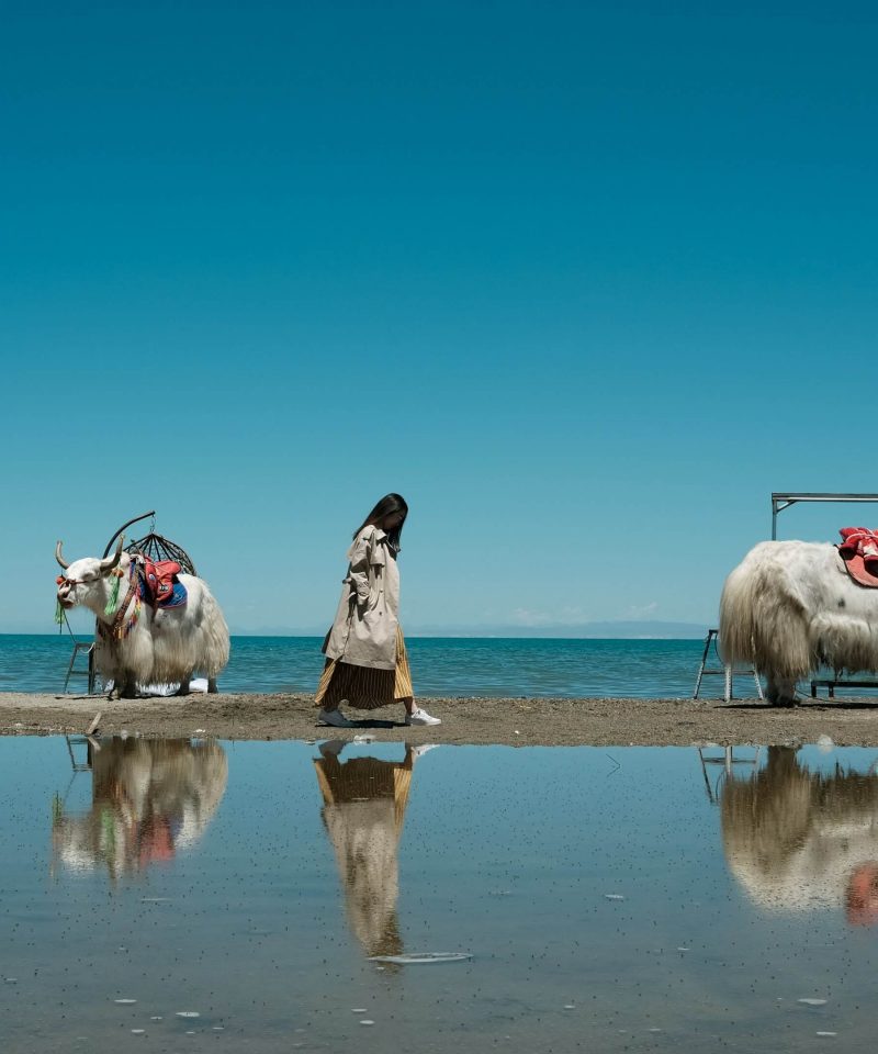 Qinghai Lake