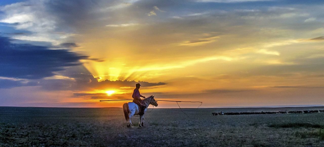 Inner Mongolia Horseback riding