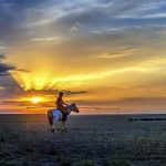 Inner Mongolia Horseback riding
