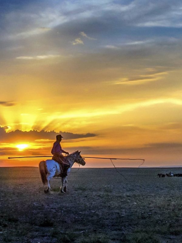 Inner Mongolia Horseback riding