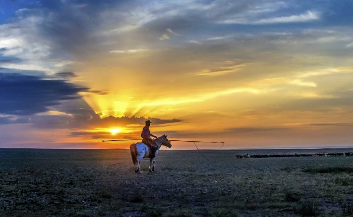 Inner Mongolia Horseback riding