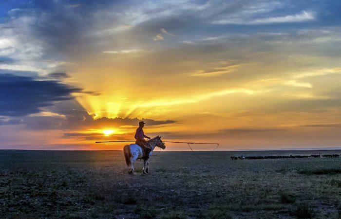 Inner Mongolia Horseback riding