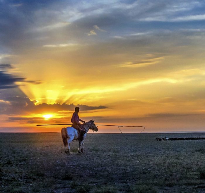 Inner Mongolia Horseback riding