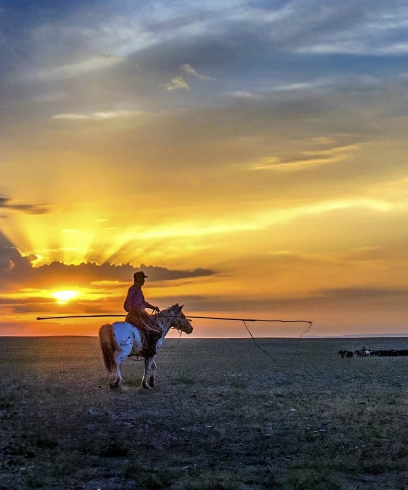 Inner Mongolia Horseback riding