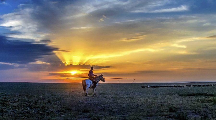 Inner Mongolia Horseback riding