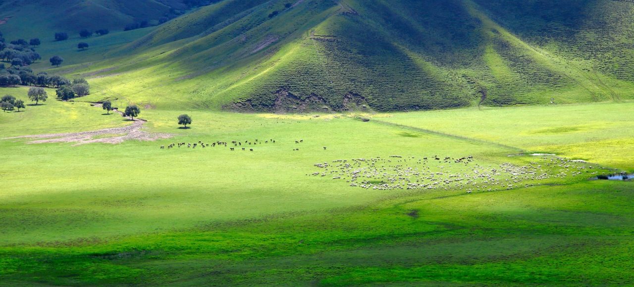 inner-mongolia
