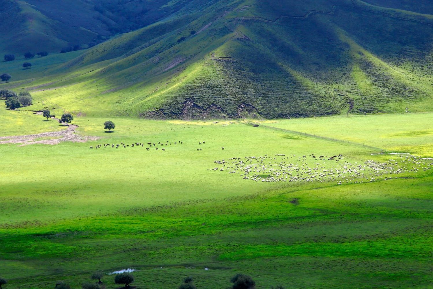 inner-mongolia