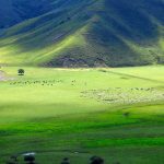 inner-mongolia