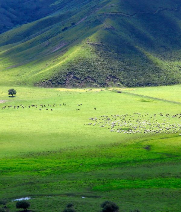 inner-mongolia