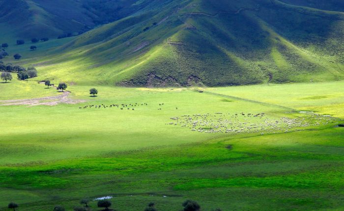 inner-mongolia