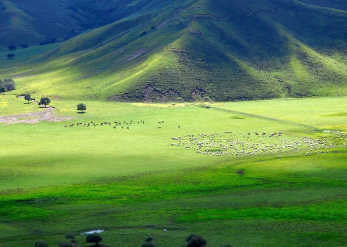 inner-mongolia