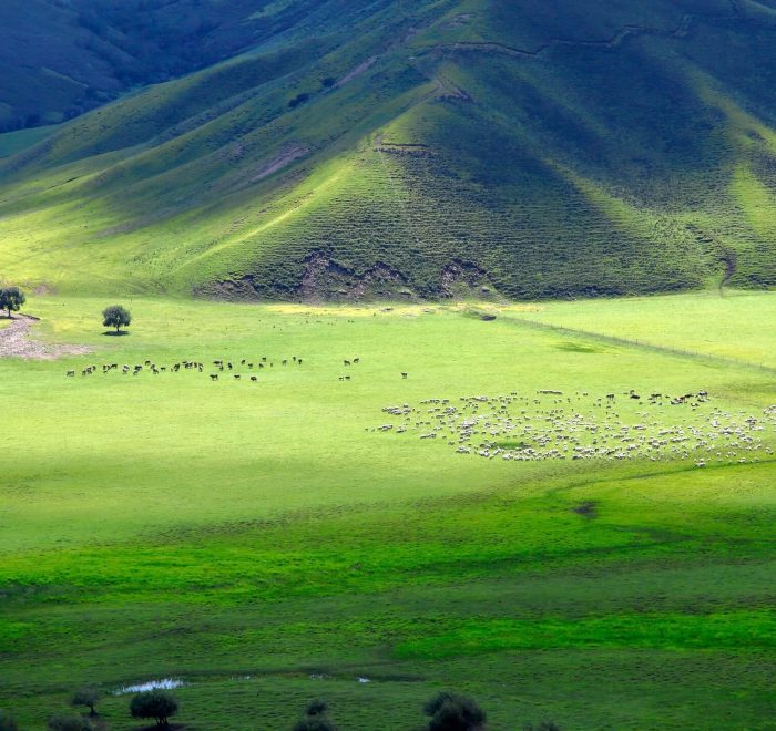 inner-mongolia