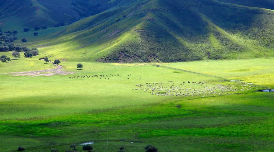 inner-mongolia