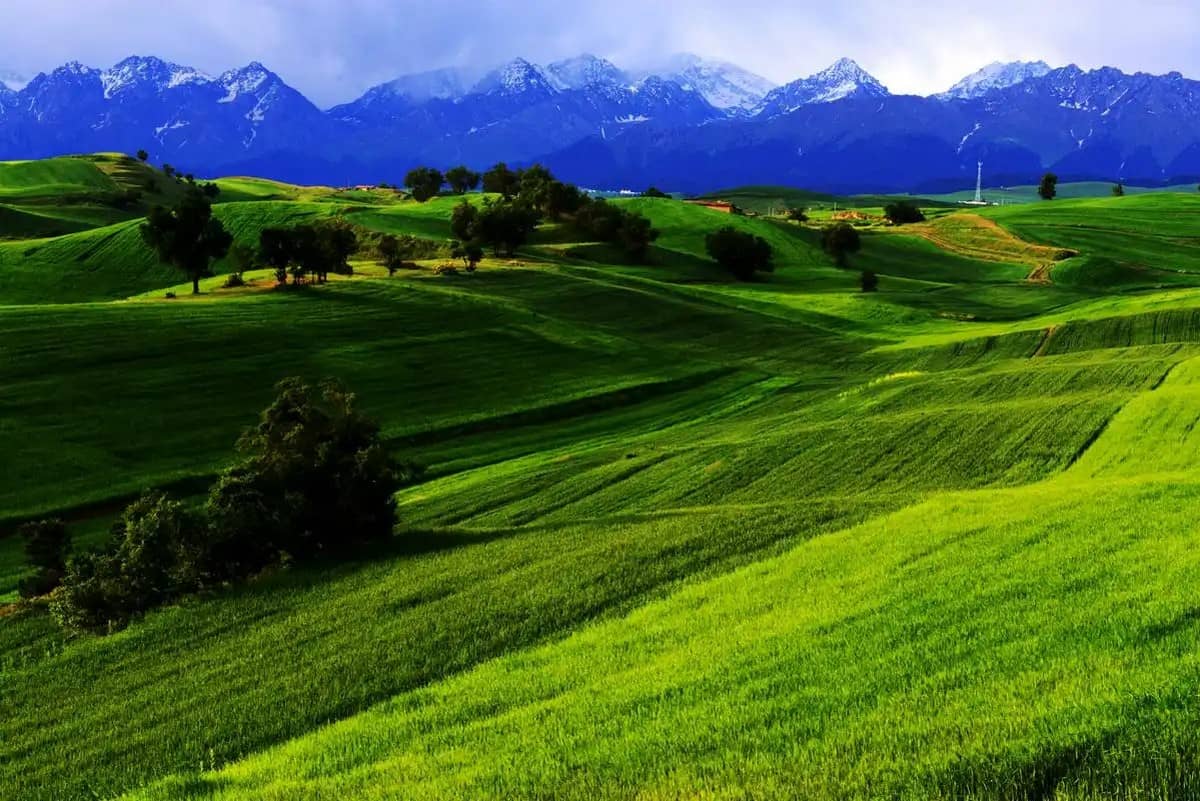 Jiangbulak Scenic Area Jiangbulak Scenic Area