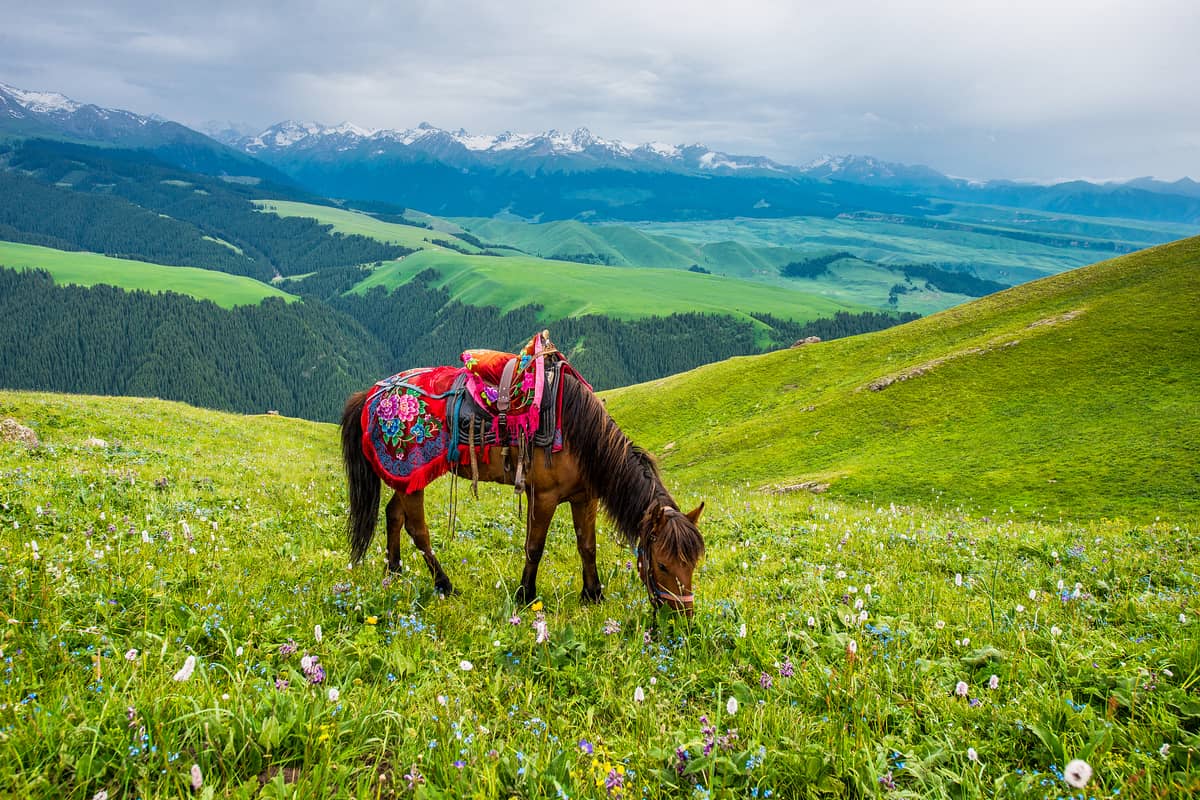 Jiangbulak Scenic Area Jiangbulak Scenic Area