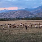 Nalati Grassland