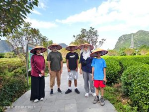 Yaoshan Çay Plantasyonu, Guilin
